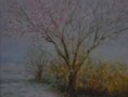 /album/galerie-de-photos-arbres/neige-en-mars-jpg/